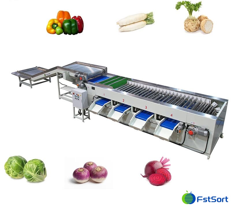 images/1661322038440Bell pepper sorter.jpg